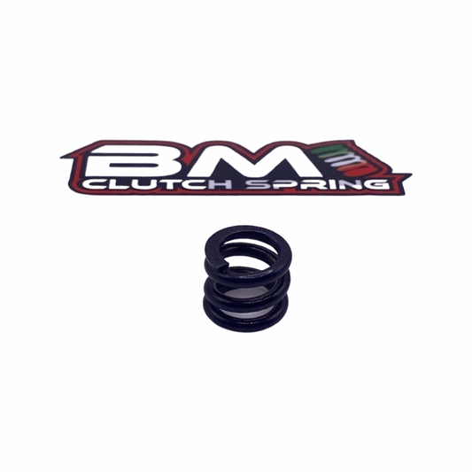 bm_2019_1_8_spring