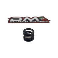 BM 1/10th Clutch Spring